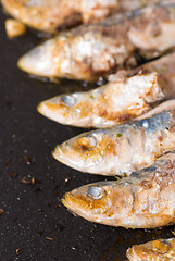 Image showing Roast sardines