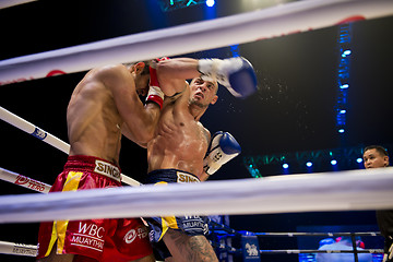 Image showing Muay Thai Championship fight