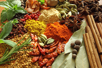 Image showing Spices and herbs