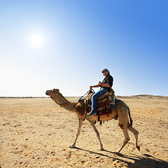 Image showing with the camel in the desert