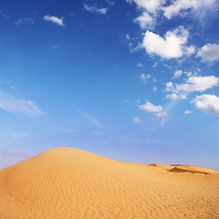 Image showing adventures in the desert