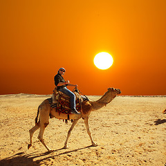 Image showing with the camel in the desert