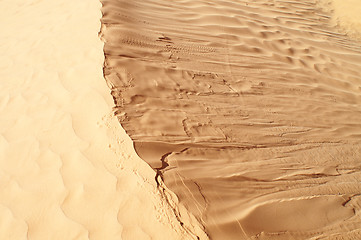 Image showing Desert