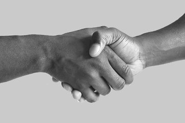 Image showing Handshake - Grayscale