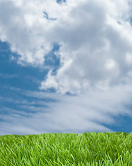Image showing Blue Sky and Green Grass