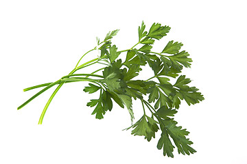 Image showing Bunch of parsley isolated on white 