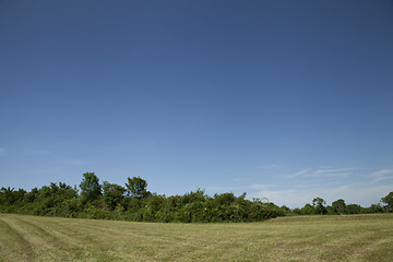 Image showing beautiful summer day with blue sky outdoor 