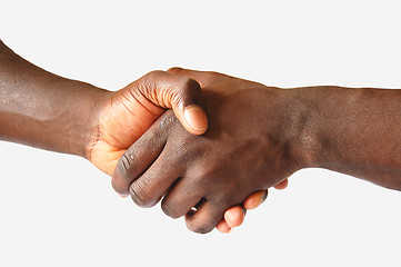 Image showing Left Handed Handshake