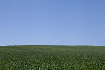 Image showing beautiful summer day with blue sky outdoor 
