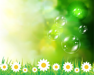Image showing Soap bubbles on green natural background
