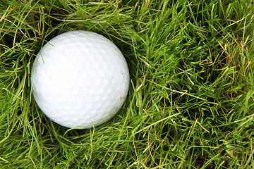 Image showing golf ball in the green grass