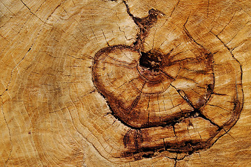 Image showing wooden background