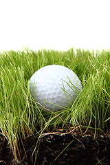 Image showing golf ball in the green grass