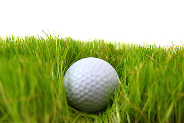 Image showing golf ball in the green grass