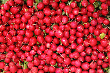 Image showing radish background