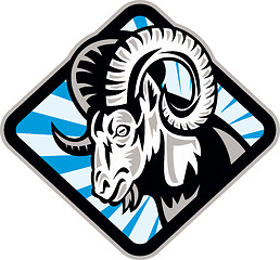 Image showing Bighorn Ram Sheep Goat