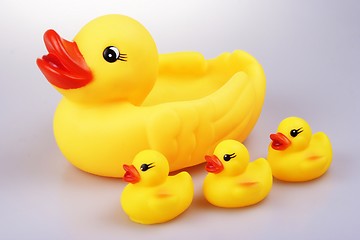 Image showing Rubber Duck