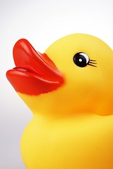 Image showing Rubber Duck