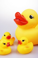 Image showing Rubber Duck