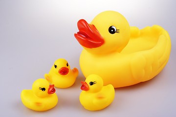 Image showing Rubber Duck