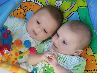 Image showing Twin baby boys