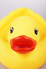 Image showing Rubber Duck