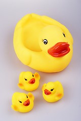 Image showing Rubber Duck