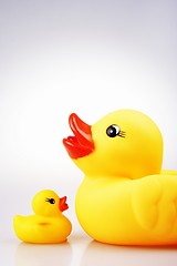 Image showing Rubber Duck