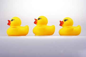 Image showing Rubber Duck