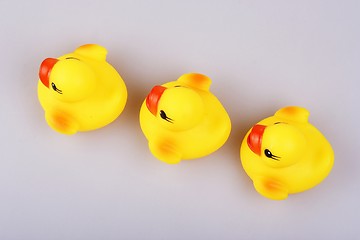 Image showing Rubber Duck