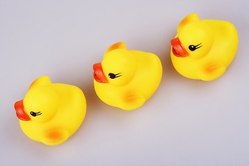 Image showing Rubber Duck