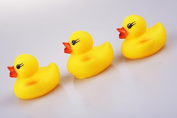 Image showing Rubber Duck