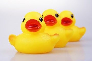 Image showing Rubber Duck