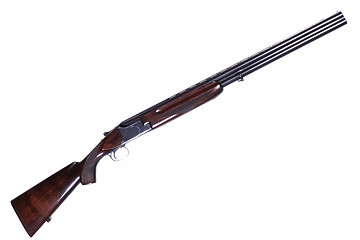 Image showing Hunting Gun