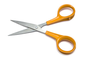 Image showing Handled scissors 