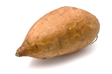 Image showing Sweet Potato
