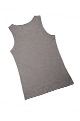 Image showing grey female shirt