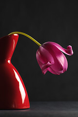 Image showing pink tulips in a vase on a black background 