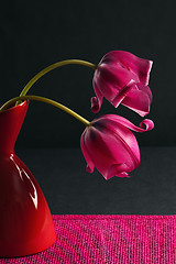 Image showing pink tulips in a vase on a black background 