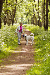 Image showing The woman walks with a dog in a wood