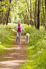 Image showing The woman walks with a dog in a wood