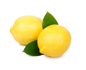 Image showing Lemon fruit isolated on white background