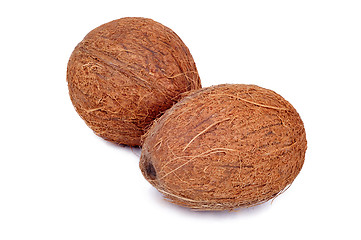 Image showing Coconut fruit isolated on white background