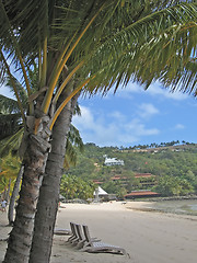 Image showing View of the Hamilton island