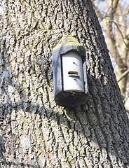 Image showing Bat box