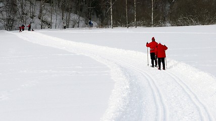 Image showing Skiing