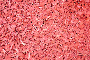 Image showing Red woodchips