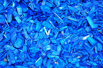 Image showing Blue woodchips
