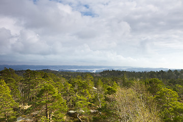 Image showing view over forest with cloudy sky