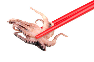 Image showing octopus in the chopstick